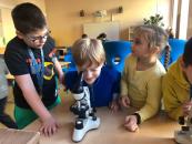 Příprava DÚ a zkoumání rostlin pod mikroskopem a minerálů [nové okno]