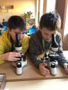Příprava DÚ a zkoumání rostlin pod mikroskopem a minerálů [nové okno]